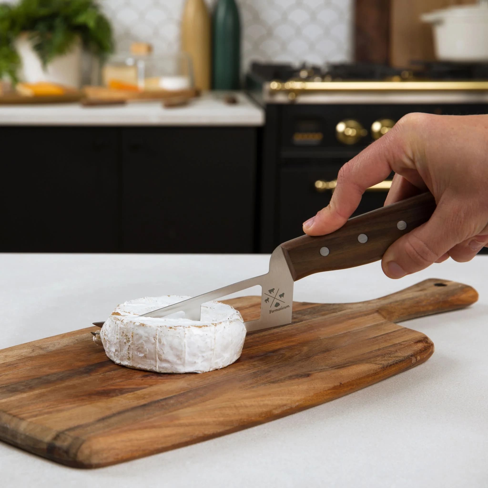 Cheese Knives