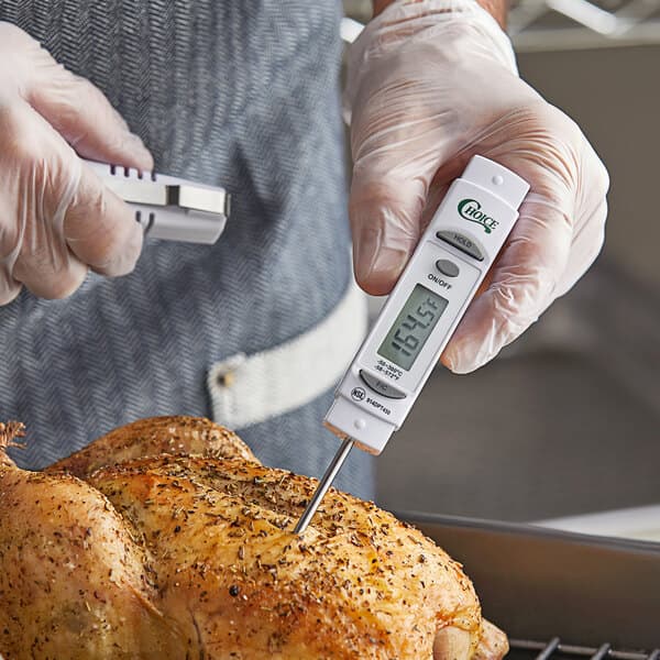 Pocket & Probe Thermometers