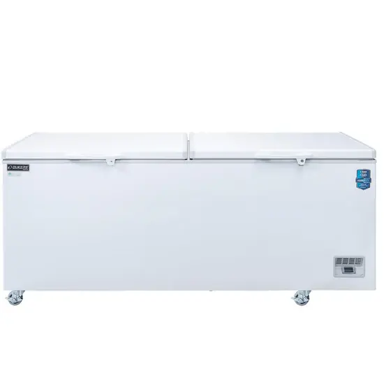 BD/BG-760 Commercial Chest Freezer